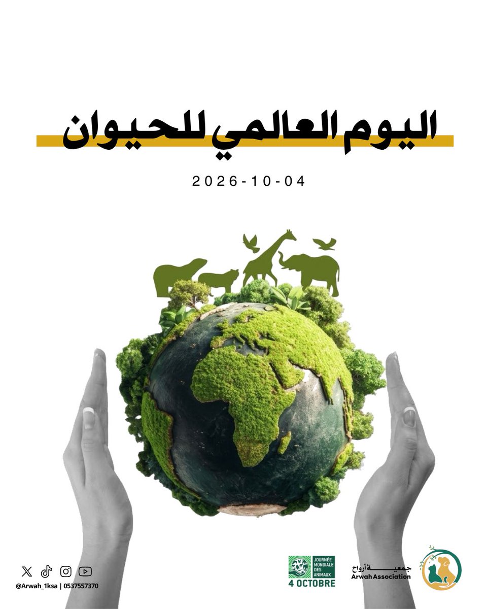 Arwah_1ksa's tweet photo. #اليوم_العالمي_للحيوان |

نؤمن بأن لكل حيوان حقًا في الرحمة والرعاية والحياة الكريمة، ونسعى إلى نشر الوعي بهذه الرسالة، وتعزيز ثقافة الرفق بالحيوان في مجتمعنا.

فالرفق بالحيوان قيمة أصيلة في ديننا الإسلامي، وسلوك حث عليه ديننا، ونطمح إلى مستقبل أفضل للحيوان، يسوده وعي أكبر بحقوقه، ورحمة أوسع تجاهه. 
#جمعية_أرواح_للرفق_بالحيوان