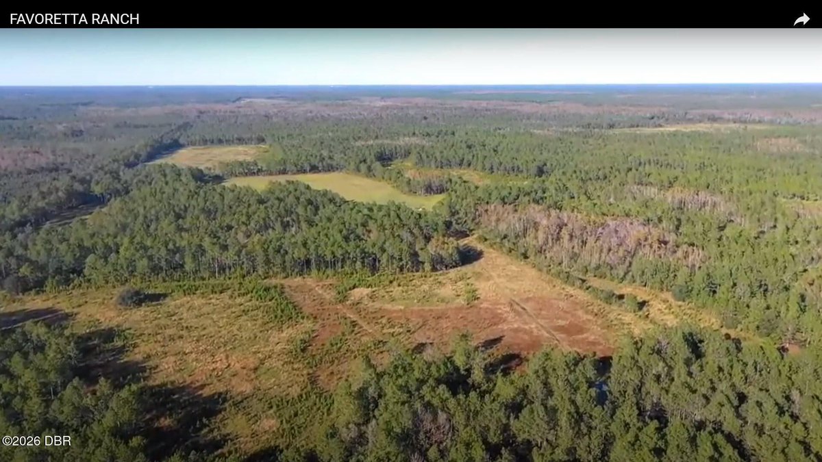 propgoluxury's tweet photo. FOR SALE - 0 Twin Lakes Road, Bunnell, FL, 32110, United States dlvr.it/TVmqxP #RealEstate #PropertyForSale #BunnellFL #InvestmentOpportunity #LuxuryHomes https://t.co/ZsviIg17GC