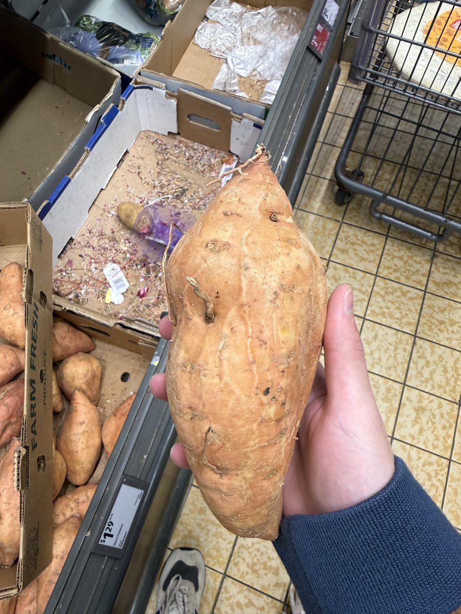 d0ngo22's tweet photo. aye man why these sweet potatoes got a DICK VEIN on it bruh https://t.co/EDPFajhSqQ