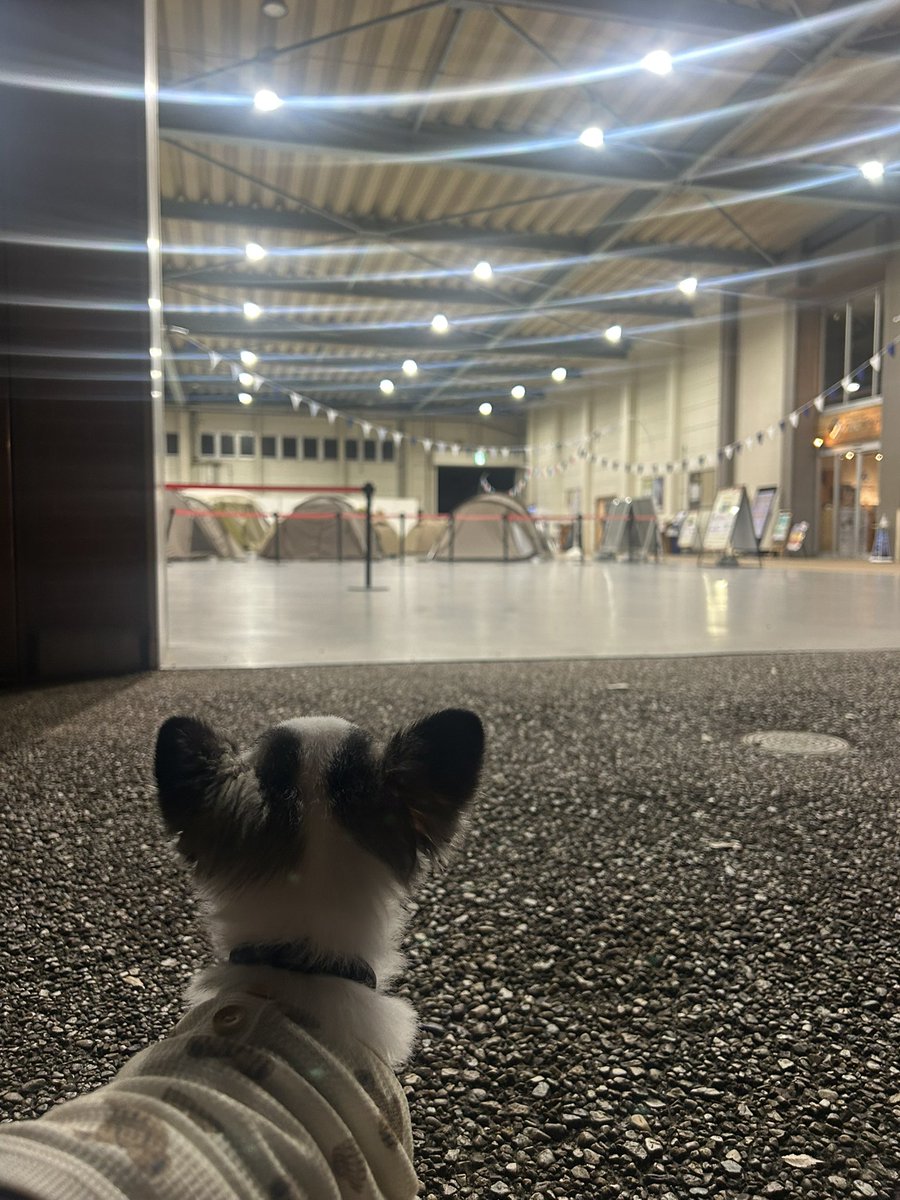 haruki_wss's tweet photo. おはようございます！

今日頑張れば六連休！！

最高に楽しい1週間にするぞー！！

国家試験の勉強、バンドのスタジオリハも頑張るぞー🔥🔥 https://t.co/cXHkH54K1R