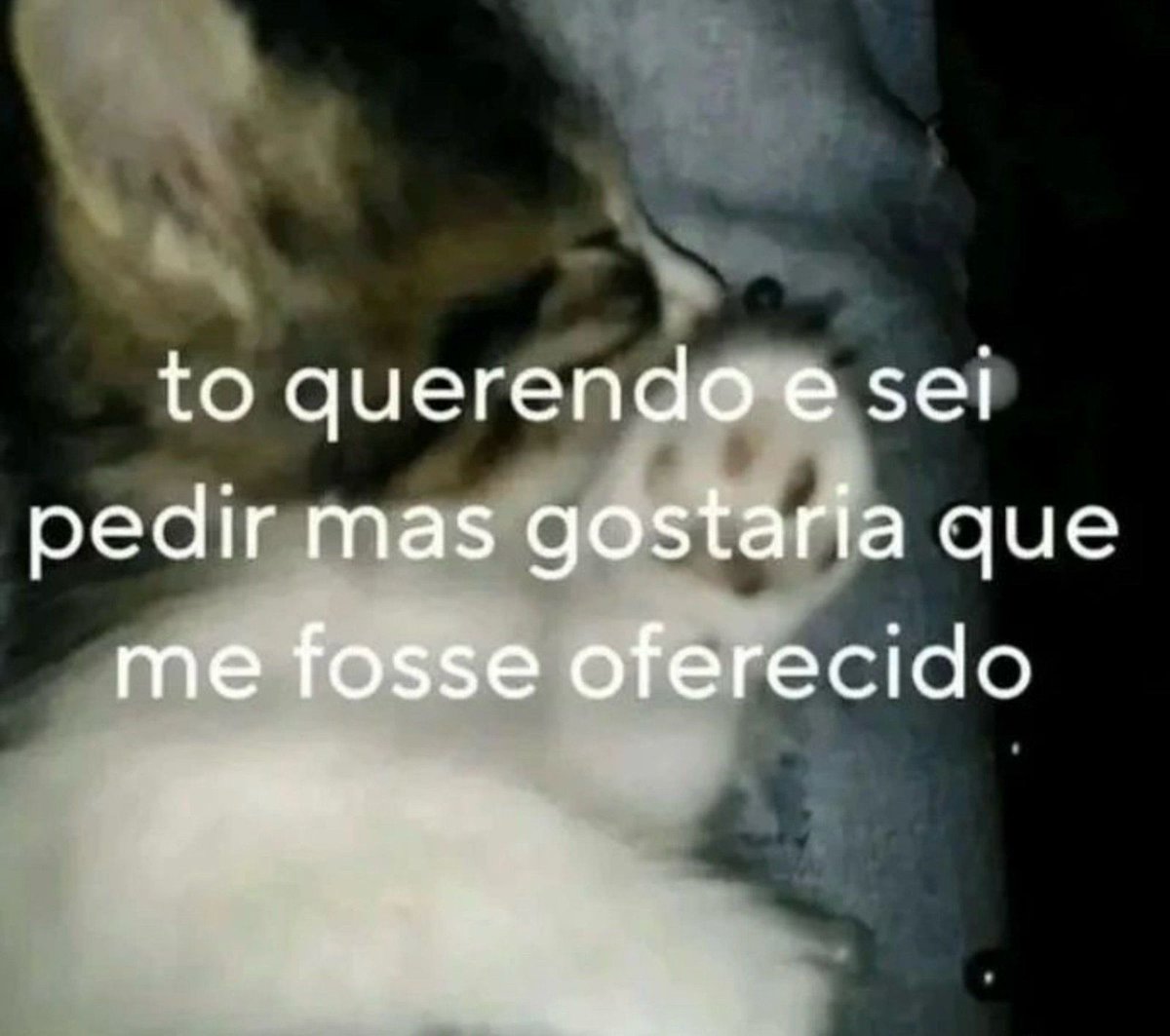 5gramasdememes's tweet photo. 🌟 https://t.co/GjXG9VfrHQ