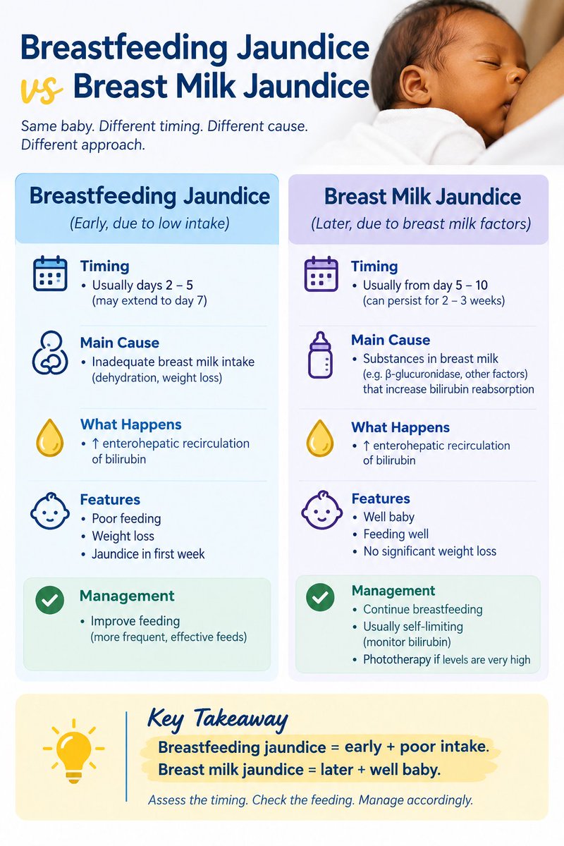 dr_henrydg's tweet photo. Breastfeeding jaundice ≠ breast milk jaundice.

Both occur in breastfed babies, but the timing, mechanism and clinical picture differ.

🔗 https://t.co/D3dfI934vW