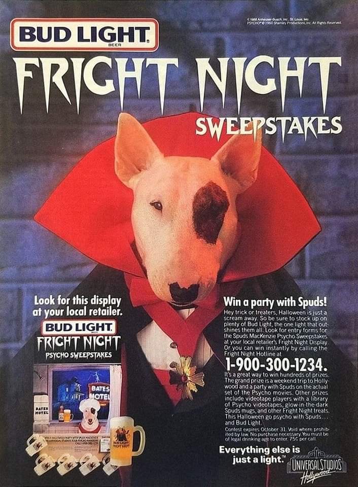 landofthe80s's tweet photo. Spuds MacKenzie was a major star in the 80s. 

Such a great campaign. https://t.co/YhY6ociFYG