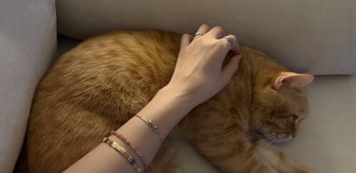 SO_l20's tweet photo. - قلب بارد بدون مشاعر؟ 
𝒂 𝒄𝒐𝒍𝒅 𝒉𝒆𝒂𝒓𝒕 𝒅𝒆𝒗𝒐𝒊𝒅 𝒐𝒇 𝒇𝒆𝒆𝒍𝒊𝒏𝒈𝒔? https://t.co/gg6OTiJXrS