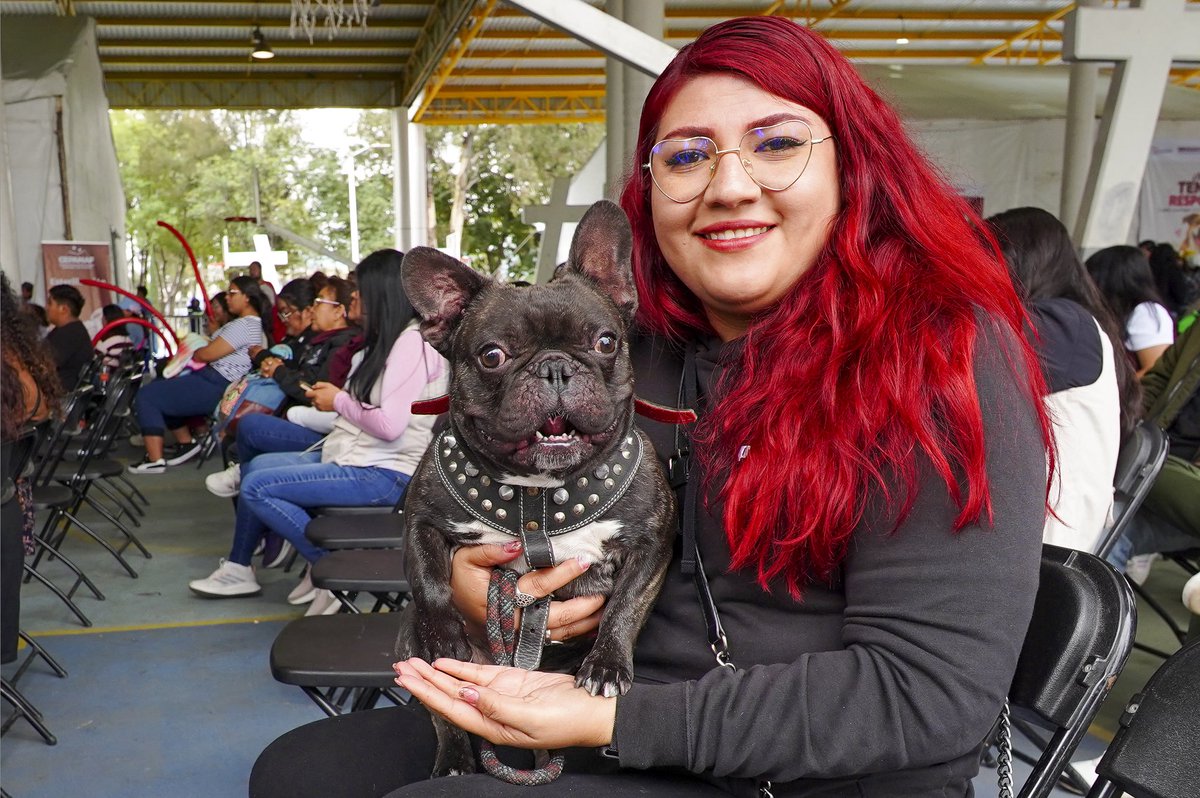 delfinagomeza's tweet photo. En mi querido #Texcoco, este domingo, Día de los Seres Sintientes en el Estado de México, inauguramos el Mes Nacional de Esterilización Quirúrgica de Perros y Gatos, con el objetivo de promover su cuidado y que representa una manera de entender el bienestar animal y aplicar la nueva ley para su protección.
En el #EdoMéx, todas y todos somos parte de la transformación y nuestros seres sintientes son parte esencial y trabajamos también por su bienestar.
#ElPoderDeServir
