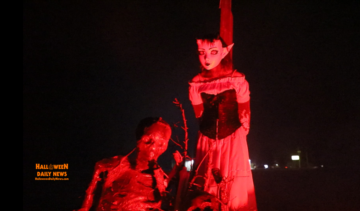 HalloweenDaily's tweet photo. We had a blast at opening night for year 5 of BACKWOODS HAUNT in Barco, NC last night! Watch our exclusive full walkthrough inside this awesome indoor/outdoor haunted house attraction: https://t.co/6ybpPYVfou

🎃 https://t.co/SaWO8ijnHa
