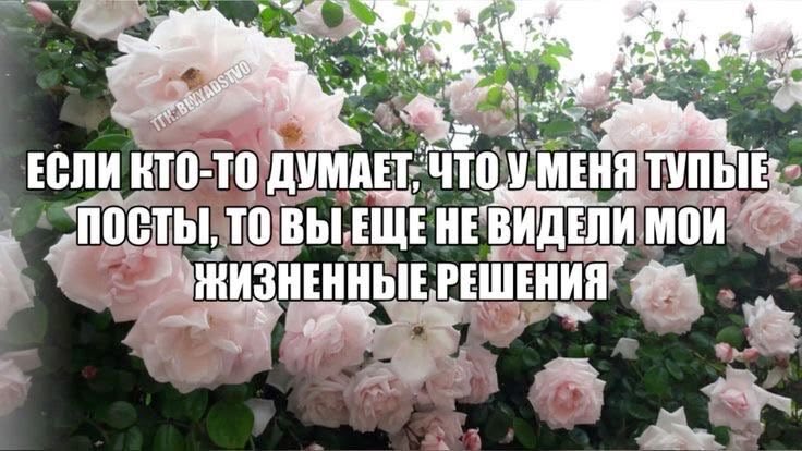 linscret's tweet photo. репост 100% https://t.co/EBpT9gNGbb