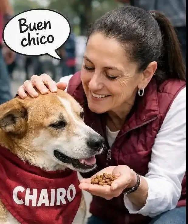 Rickantichairo's tweet photo. @Acambaro462043 @JosLuisSanRos @Werattor @FelipeCalderon https://t.co/YO6RzTNnkY