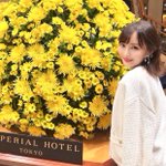 Photo by 入江麻衣子 MAIKO IRIE (@iriemaiko)