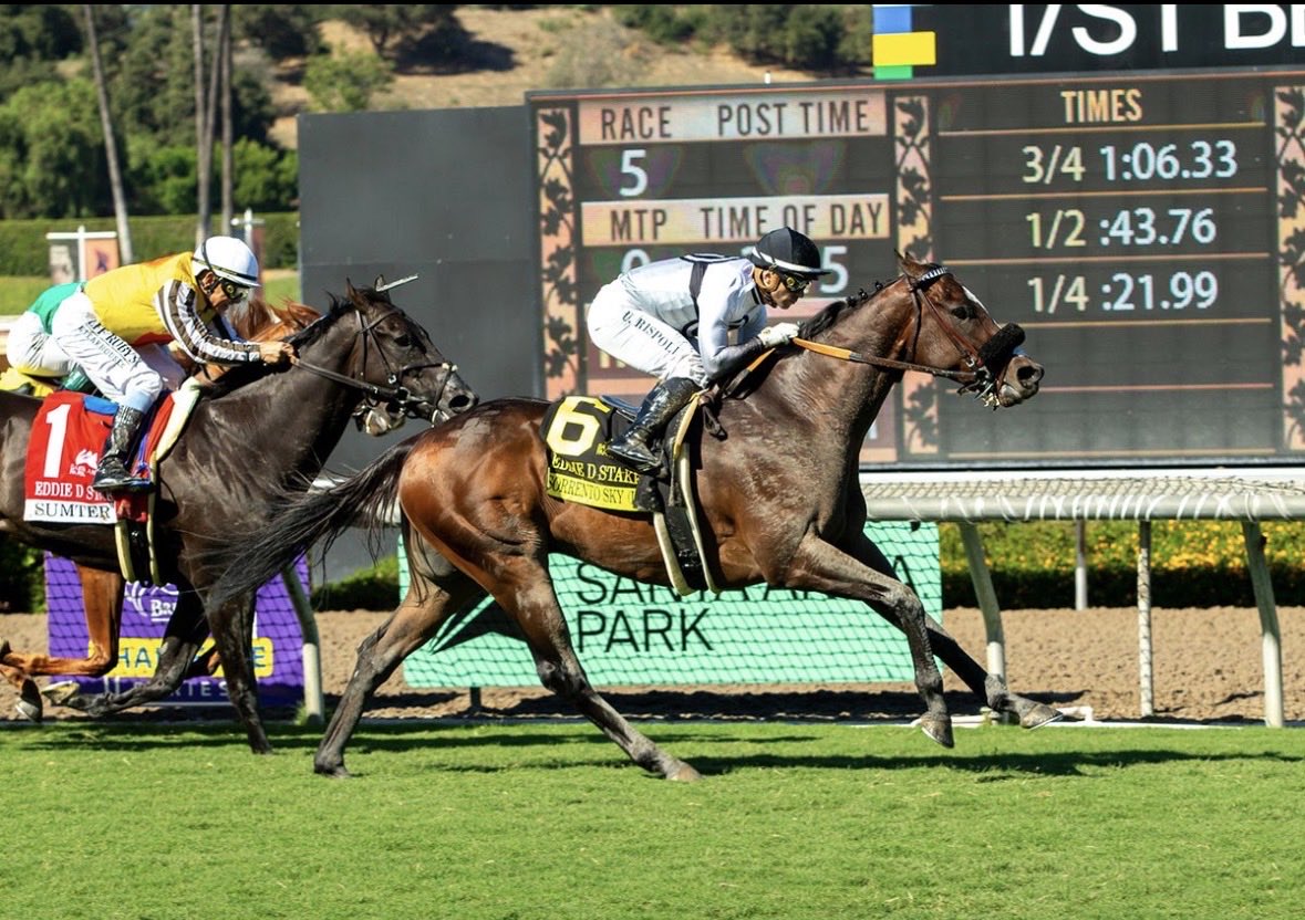 BallyhaneStud's tweet photo. BALLYHANE success in the USA 🇺🇸 🇺🇸 

Sorrento Sky won the Gr2 Eddie D Stakes at Santa Anita last weekend, bred by Matt Dwyer by PRINCE OF LIR

Adonius wins the Gr.3 Indian Summer Stakes tonight at Keeneland, bred by Monksland stud by SOLDIER’S CALL

🏆🏆👏🏻👏🏻 https://t.co/wn6lyWbye6