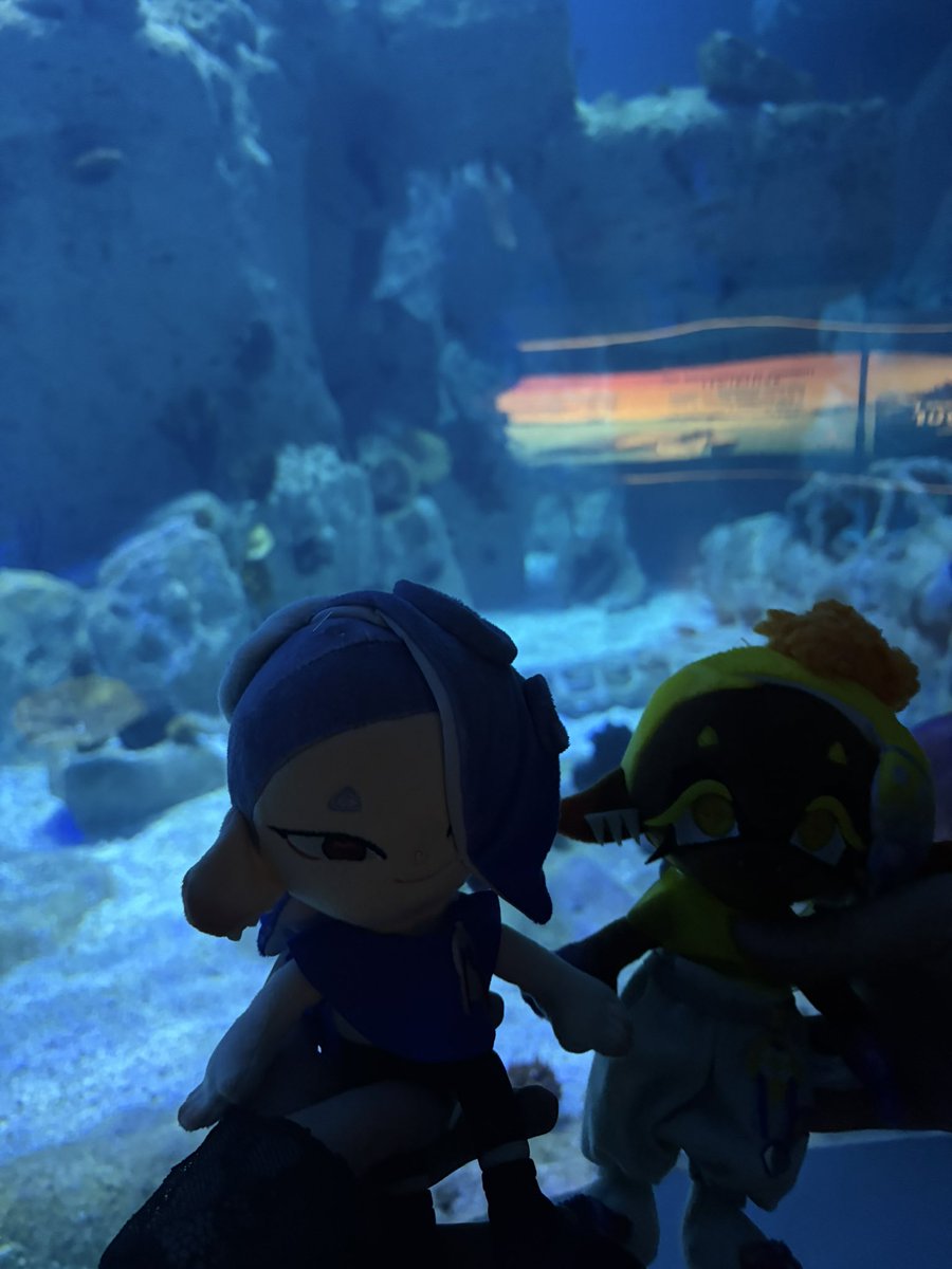 decayingmelody's tweet photo. #splatoon https://t.co/jaqG7IlxiK