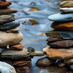 Photo by Mike (@Greenthumb891)