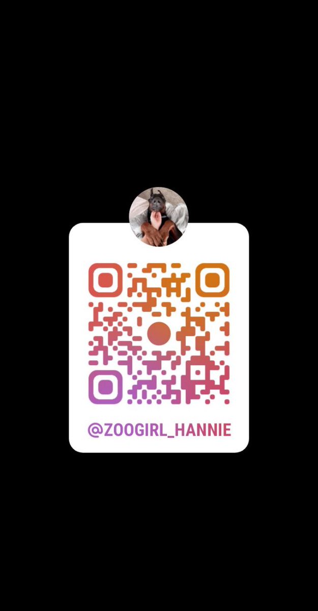 Zoo_hannie202's tweet photo. Who wants to watch me get bred until I’m shaking and full?
 
https://t.co/8ewgytdk0k

#zoophile #bestiality #k9girl #miami #ZooPorn #dogslut #BreedingKink #canada #zoo #doglovers #zoophiletwt #nsfwtwtًً  #NSFW #dogs #florida #usa #German #uk #portst #jacksonville https://t.co/7jwrH6Ecpf
