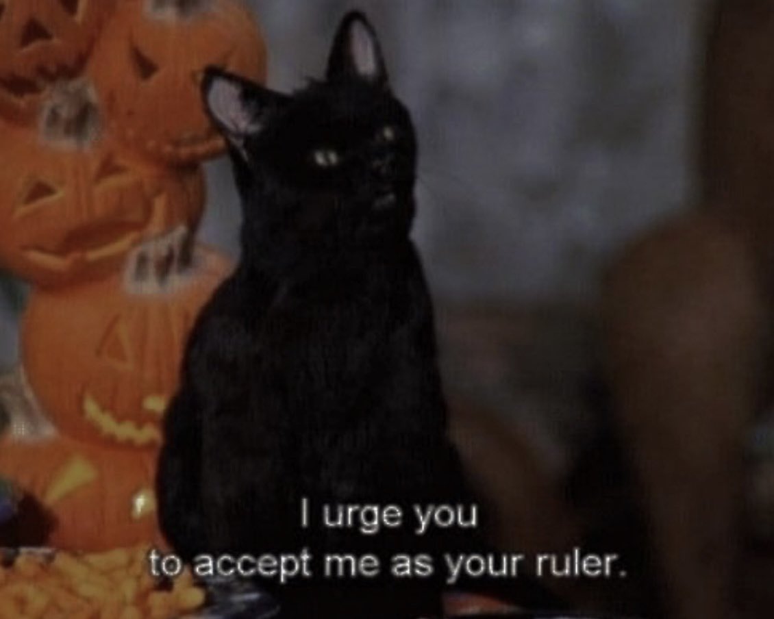 pixseok's tweet photo. ⋆⁺‧₊☽◯☾₊‧⁺⋆ 

bee | sher/her | 27
horror | witchy things | bass players  
yapper | mdni | virgo | queer  

⋆⁺‧₊☽◯☾₊‧⁺⋆

#moothunt #promotwt #moots #sleeptoken #5sos #witch #horrortwt https://t.co/fEoyYqtK4V