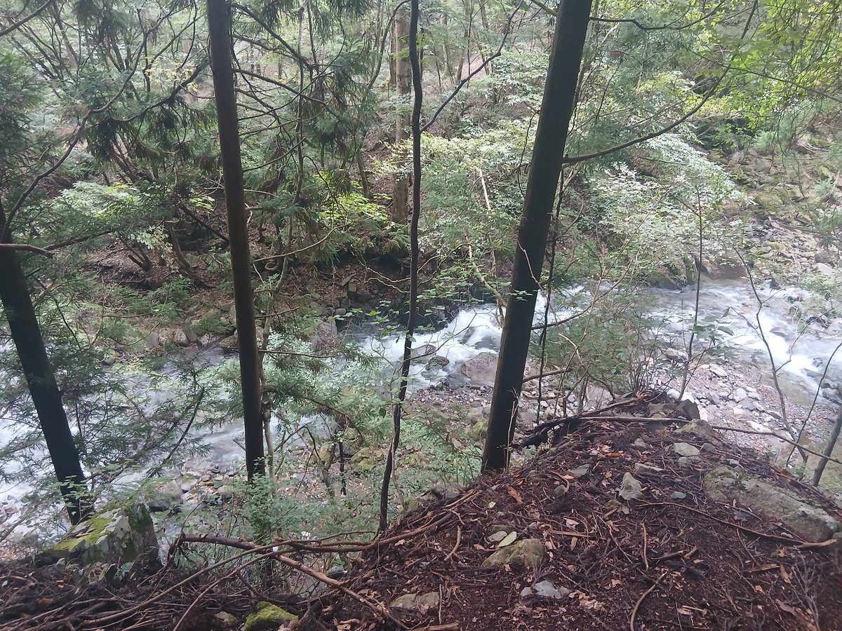 Alcohol_Camp's tweet photo. おはよう

努力はいつ結果が出るかは分からないよね
ただ、結果にこだわり過ぎてしまうと安全でつまらない道を選んでしまうと思う

努力はいつだって自分の為だから結果は二の次
楽しいと思う方向を正解にするのも努力だからね
今日も楽しい一日にしよう https://t.co/xc94Q4k8lA