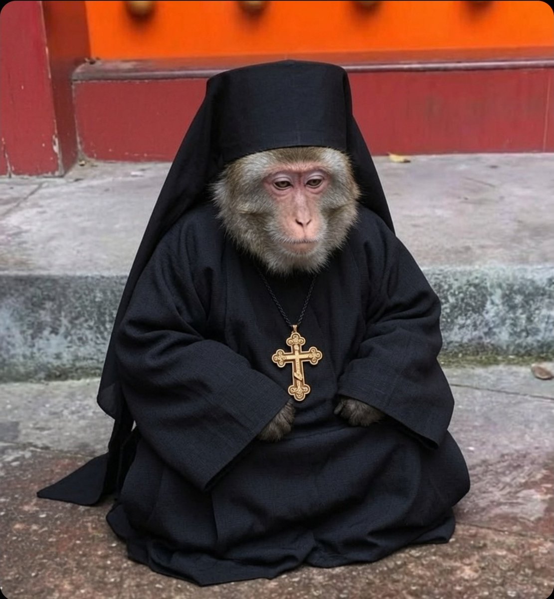 howlinghowler_'s tweet photo. Reject modernity. Become monke https://t.co/r1zKnGMfdF