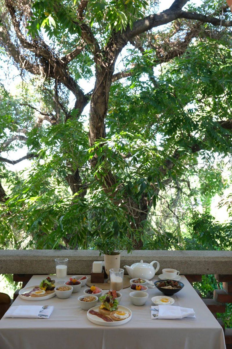 santismutiara1's tweet photo. [This dreamy old hill, where I dare to braid silky satin ribbons around ancient vines—what a magical, slightly bold adventure!]， https://t.co/0OZDiIrnTA
