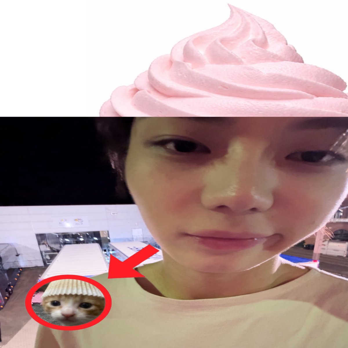 ryulnade's tweet photo. my polite silly cat meow meow :3 https://t.co/jCEZYz2YXQ