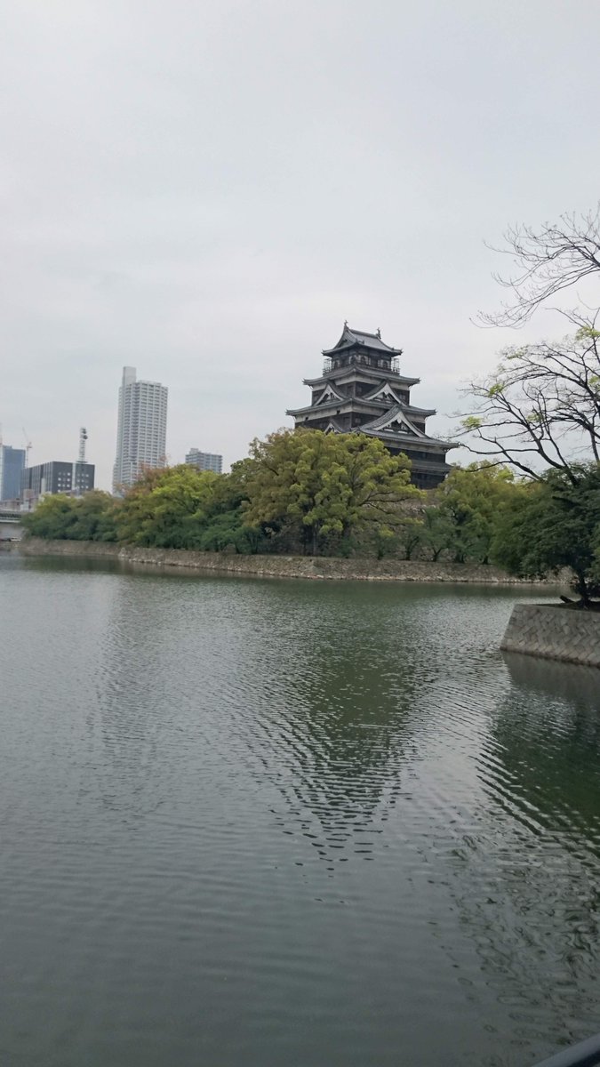 Lac_bunka's tweet photo. 広島城
#写真好きな人と繋がりたい

婚活ピンポイント相談受付中✉️
結婚相談所への入会は考えてないけど、誰かに相談したい✨

東急沿線・横浜エリアで、
安心・安全な婚活をサポートしています
👇まずはLINE登録で無料相談👇
https://t.co/bCurAd3ufK
#東京 #婚活 https://t.co/1AdwpLy6T5
