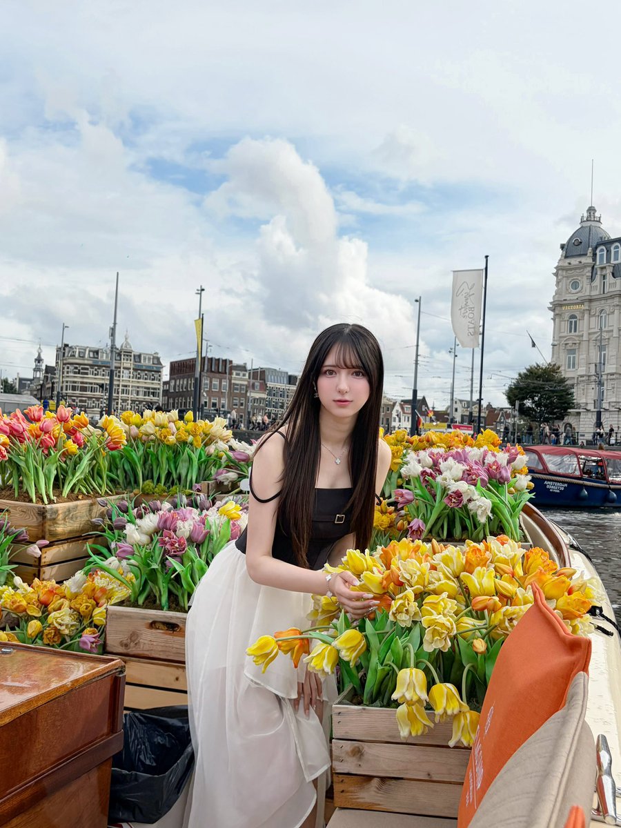 Shiro__an tweet picture