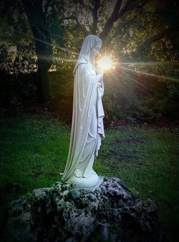 PrayTheRosary's tweet photo. https://t.co/N2YNvOIsIq