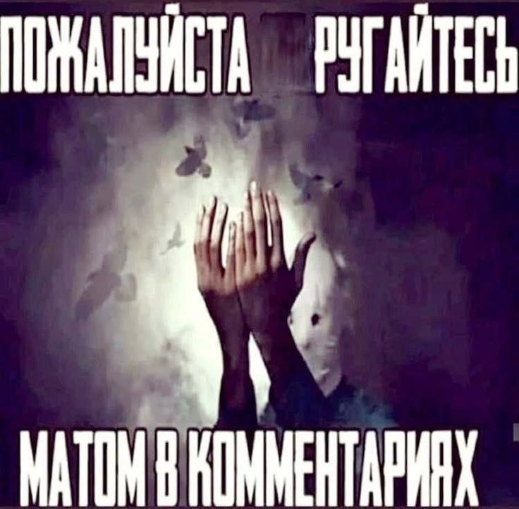 linl0s's tweet photo. лвдйдвды https://t.co/vVDwpqjDJJ