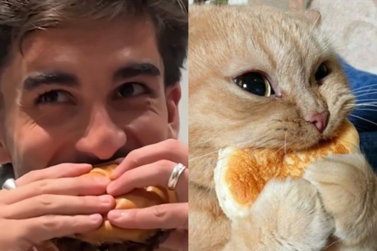 ferranxpedri's tweet photo. 😺🤏🏻 https://t.co/hLMKb81pvz