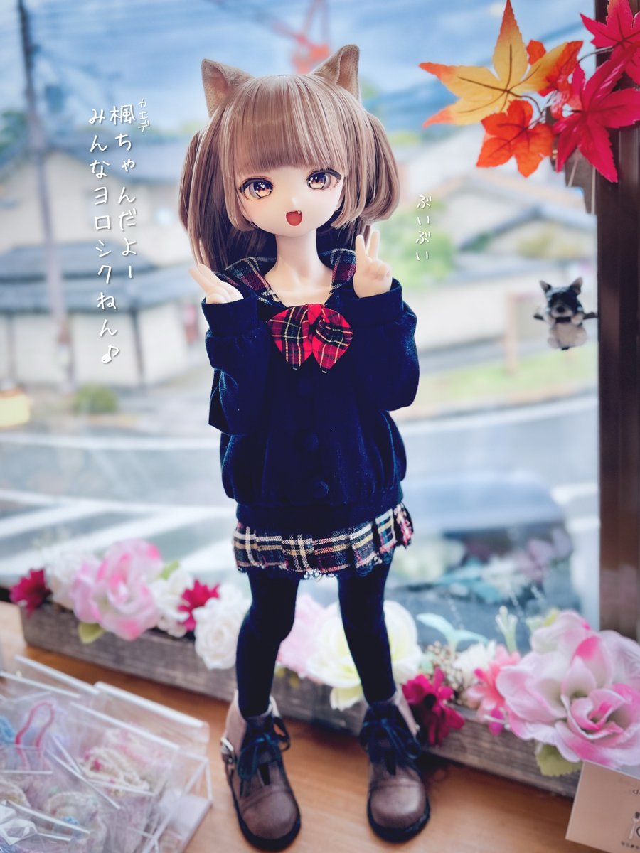 Moetama_DD's tweet photo. ご縁があってChris Kuo（船長様）より8/2にヘッドをお迎えしていたのですが、
昨日ようやくお披露目することができました。
名前は楓【カエデ】ちゃんです。
皆様、今後ともヨロシク・・・💕
#船長っ子 https://t.co/686Wvz5HJ0