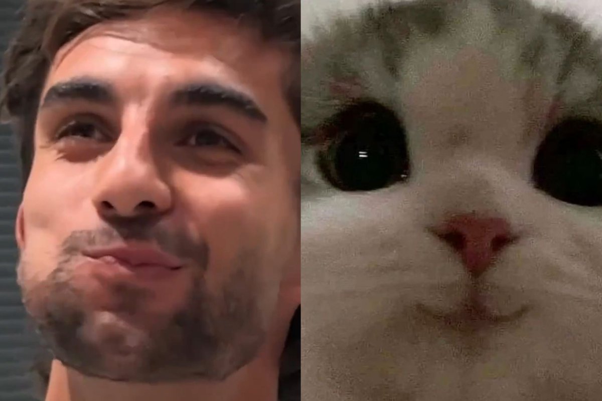 ferranxpedri's tweet photo. 😺🤏🏻 https://t.co/hLMKb81pvz