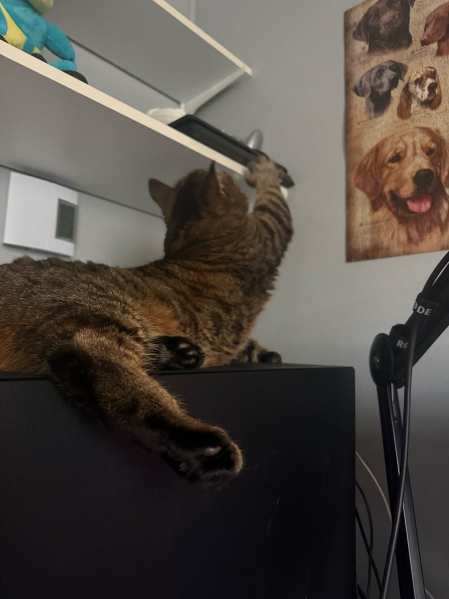 ContentDrew tweet picture