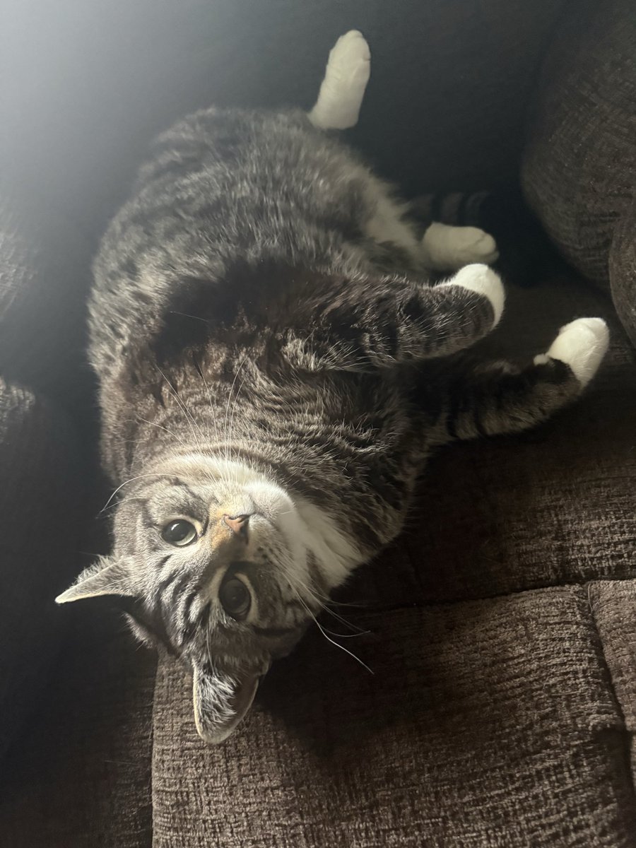 ContentDrew tweet picture