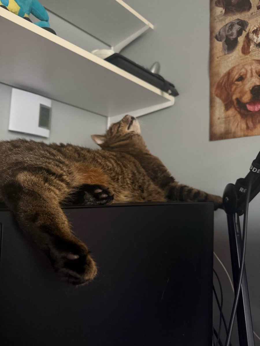 ContentDrew tweet picture