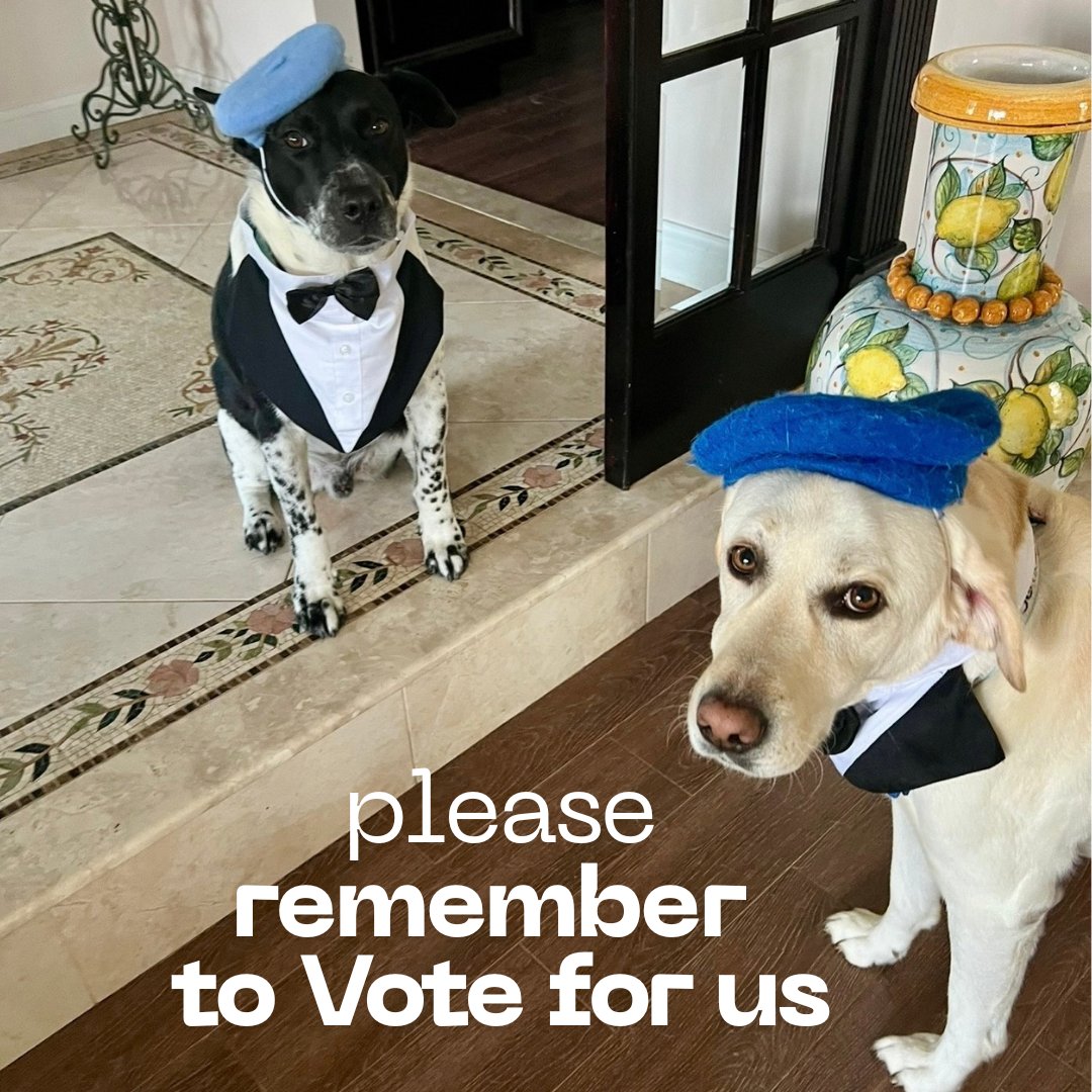 CREATEARTIST's tweet photo. Message of the day: We're PAW-sing to remind all of our friends and family to remember to vote for us for The Best of L.I.- Most Talented Pets. Click the link below to cast you vote. You can vote once a day until 12/31...Thank You! 🩷🐾🩷🐾

https://t.co/liLPQHs0D0 https://t.co/50tlUAIDfp