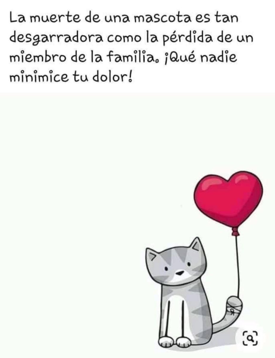 flunxo2's tweet photo. https://t.co/01x791dbdn