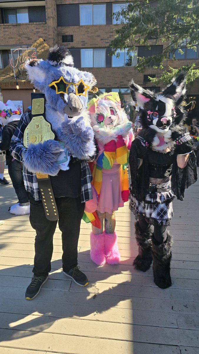 MaestroIgnitex's tweet photo. Several Day 3 #MichiganAnthroWeekend #MAW2026 pictures as Kirin! https://t.co/z5ssPLVkP7