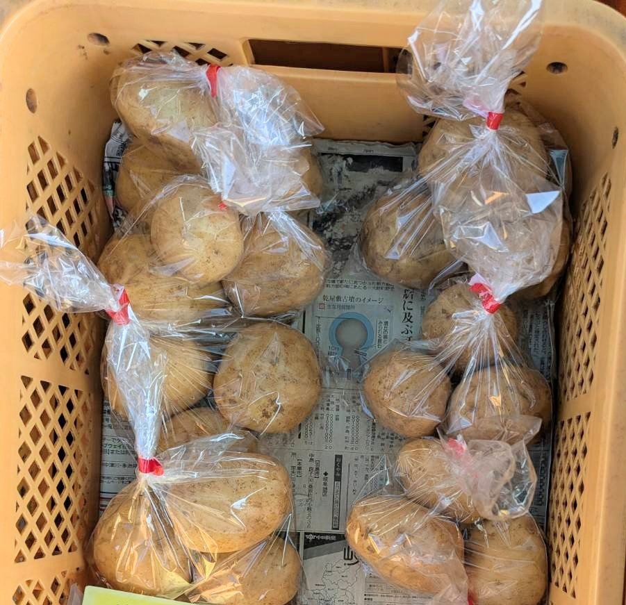 silver_farm_vc's tweet photo. おはようございます⛅️
八百屋のよっちゃんです🧅
今日は月曜日、龍明寺幼稚園 駐車場で８〜１６時です。
ご来店お待ちしてます😊

#フォロー
#RP
#会計時画面提示
#新鮮野菜プレゼント

【今日のオススメ】価格は税込
玉ねぎ1袋→¥200
じゃがいも1袋→¥200 https://t.co/NdL4iV8ZBU