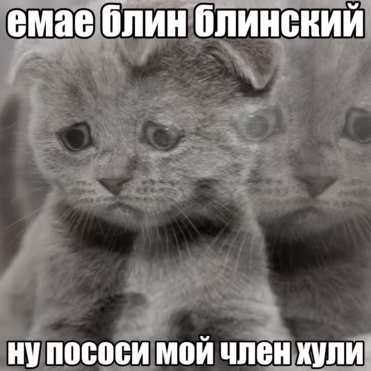 AkiiiErl's tweet photo. когда кто-то критикует каждое мое действие и вставляет свои пять копеек https://t.co/6WAfz7L0py