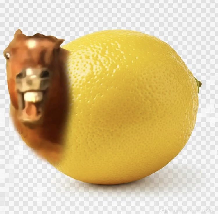 auiwinso's tweet photo. posting shitpost cuz i’m bored what do i do https://t.co/CktsII8fVR