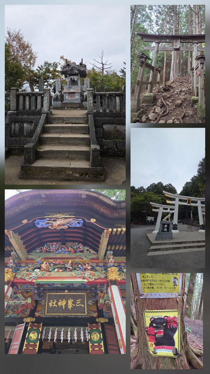 Manhooraa's tweet photo. 三峯神社　9年ぶりに奥宮に行ってきた https://t.co/RGt9M6YF5v