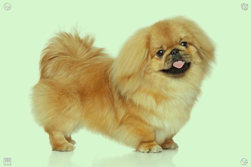 TaigaNori's tweet photo. Exchange gentle truthful constructive feedback trusted close friends soft kind thoughtful suggestions support mutual growth sustain transparent reliable long friendly bonds fully🩱Sausage sandwich Sausage, snack https://t.co/tOCZVjixeB