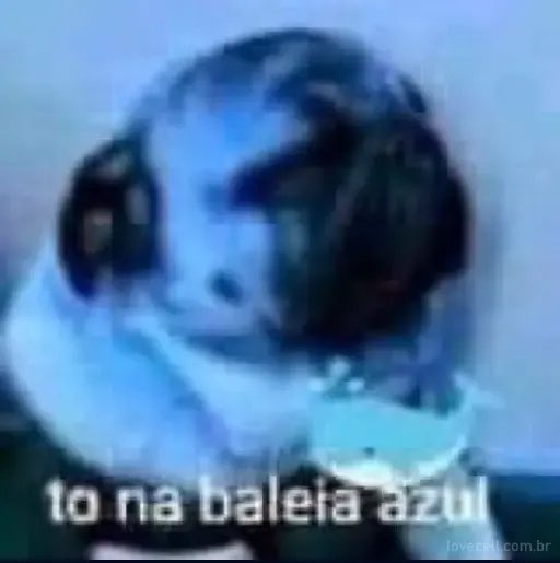 Lepolepson's tweet photo. @salvejr_ @mankmadness Teremos que trazer a Baleia Azul de volta! Corram aos mares!! https://t.co/LaB5oByTBT