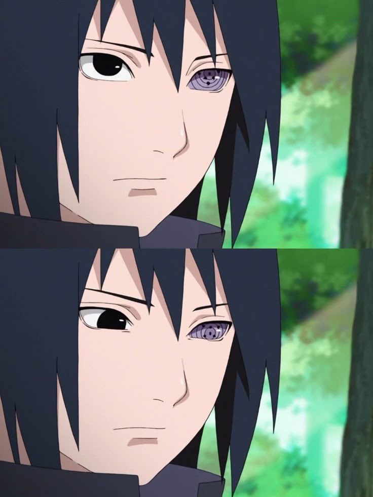 sasukedailydose tweet picture