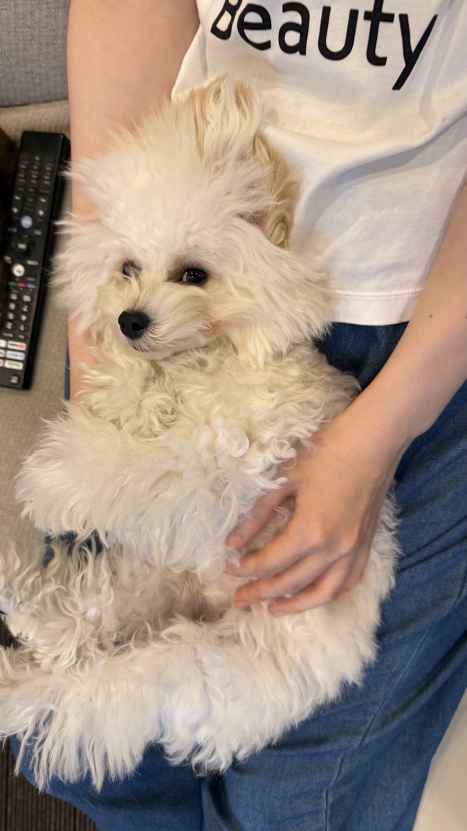 fuwatoroangel's tweet photo. 渾身のドヤ顔 https://t.co/p12bqrWatu