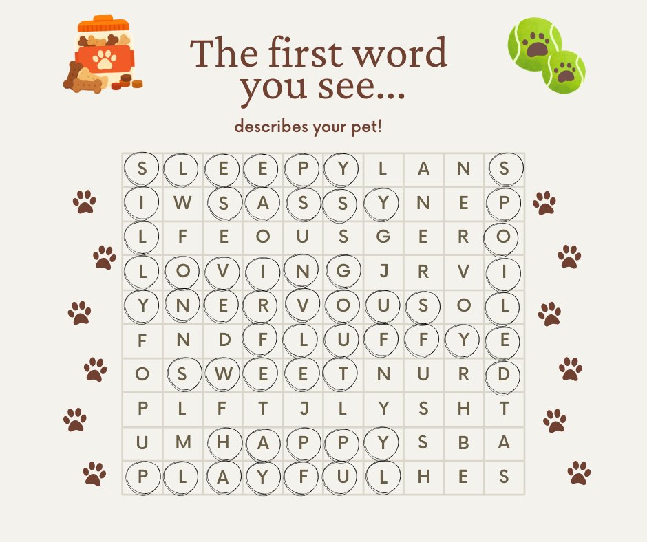 cahofwaller's tweet photo. Your pet’s personality is hiding in here somewhere… 👀🐶🐱
Find the first word you see, then check the circled answers!
Did you get one of these? Tell us which one! 🐾👇 https://t.co/vDTGc3occ6