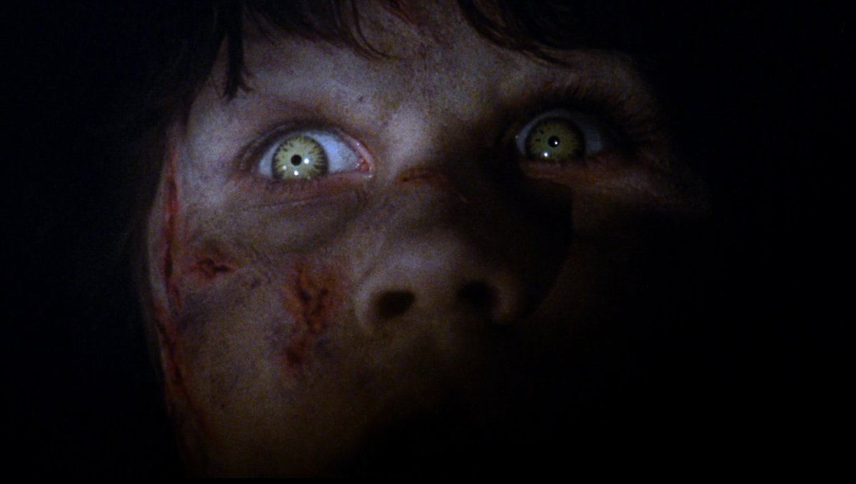 waynesfury's tweet photo. one of the most beautiful looking horror movies ever https://t.co/pNpnX4dSba