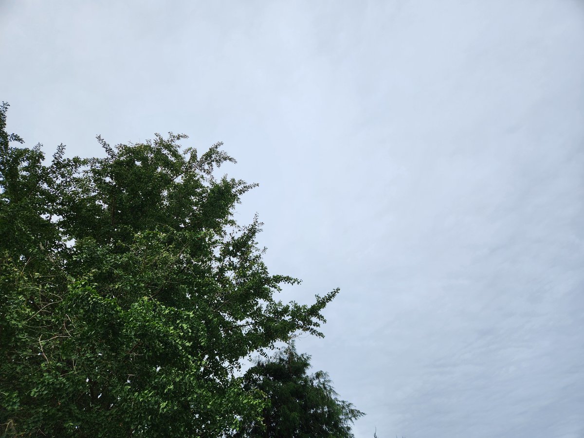 enjoy012345's tweet photo. 今日も曇り☁
でも明日から良い天気になりそうだー
しゃかりきチャリ漕いで晴れない気分も吹き飛ばしていこー！

#イマソラ https://t.co/iViJvJHMwV