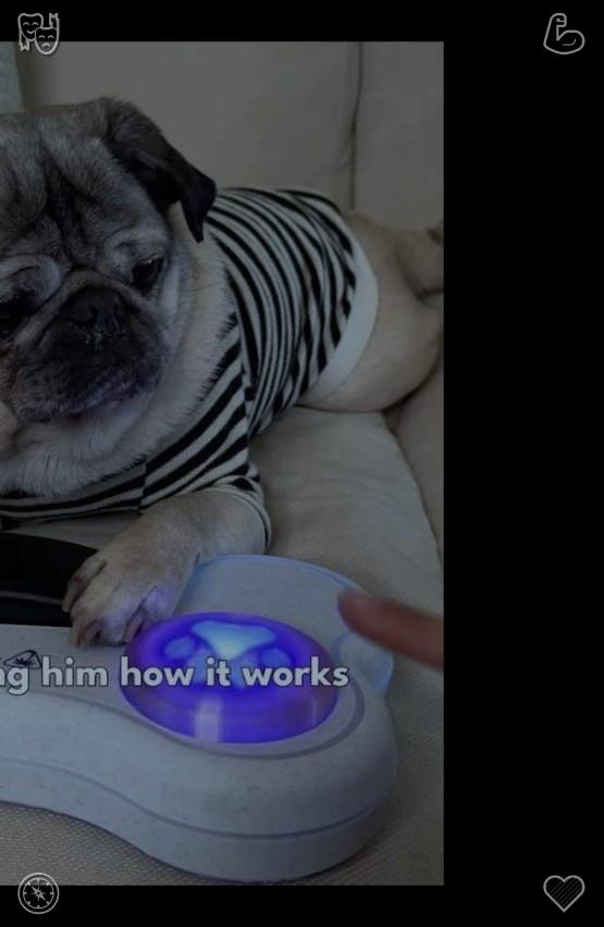 k6925's tweet photo. 🧒Draw a sea landscape Sea, drew461754Chocolate and cherry cookies Aroma fills the house https://t.co/zcoWQahuHB