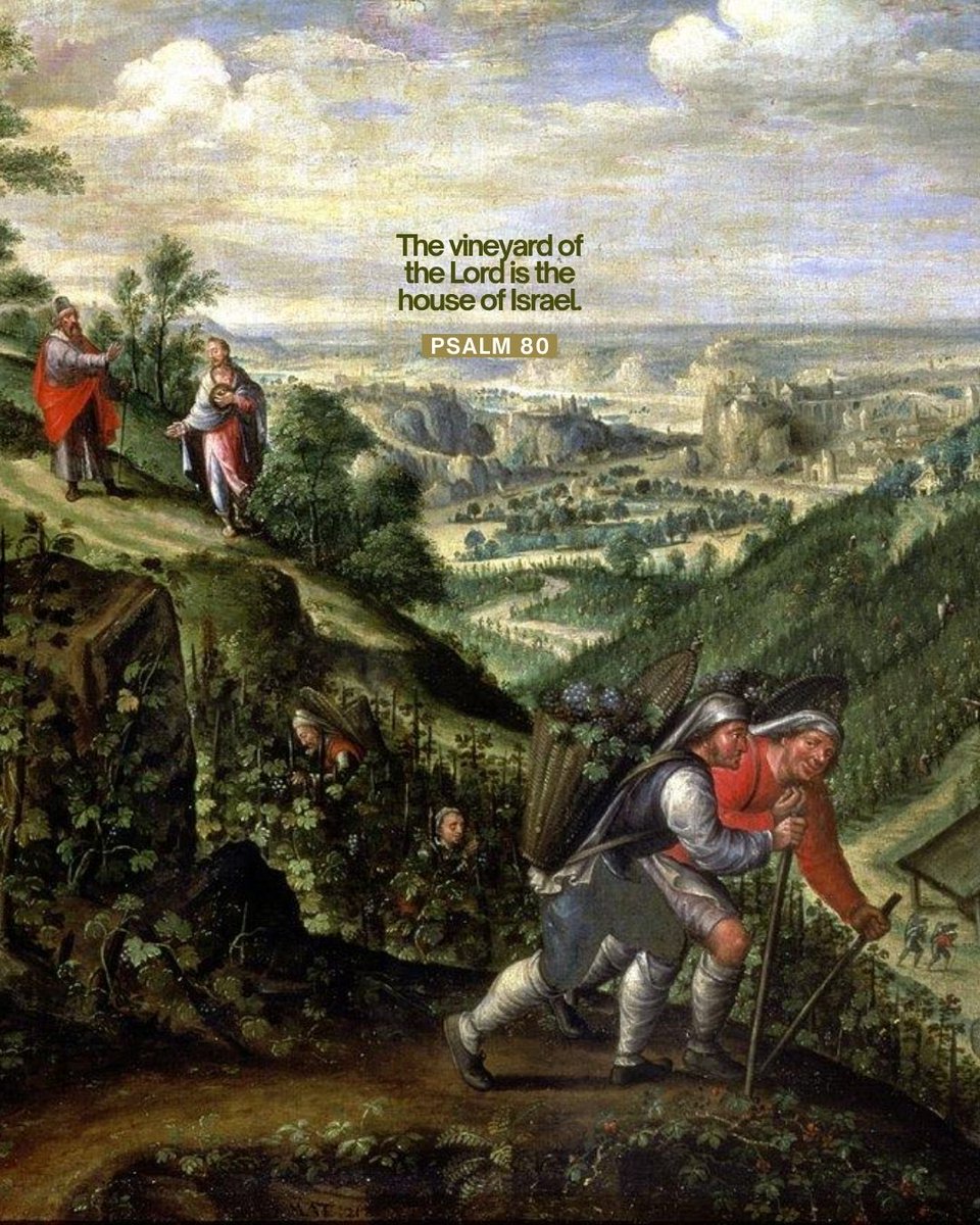 FOCUScatholic's tweet photo. In Scripture, the vineyard is often an image of God’s people and His loving care for them. 

He plants, cultivates, and tends to His vineyard, inviting it to bear good fruit.

How are you attentive to the ways the Lord is tending to your heart?

#focuscatholic https://t.co/7Q8Rb9Y7ip