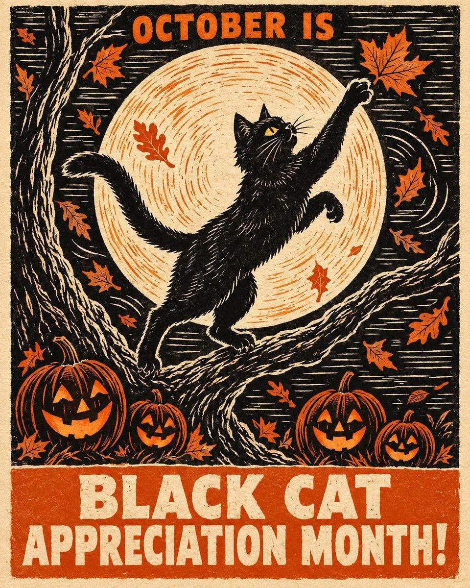 patronsaintofca's tweet photo. https://t.co/OvJmk5ApsY