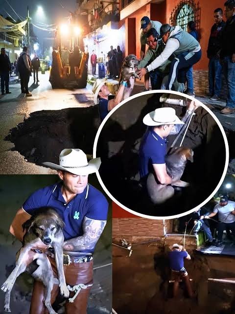 El_principitoGT's tweet photo. No sé quién está peor...

NETO BRAN Y EL RESCATE DEL PERRO PARA DEJARLO EN LA CALLE PASANDO HAMBRE NUEVAMENTE O SANDRA TORRES Y LA LIBERACIÓN DE LA TORTUGA TERRESTRE EN EL MAR...

Terrible nuestra realidad política... https://t.co/zT1gUOWbf0
